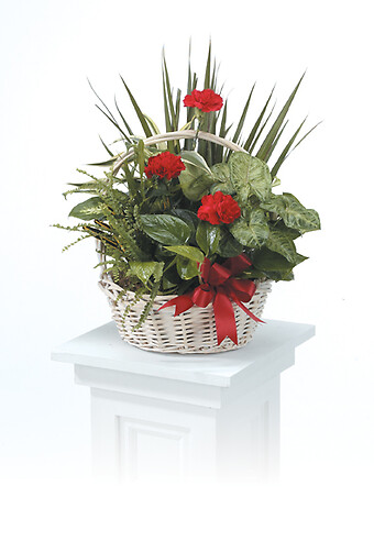 Dish Garden Basket